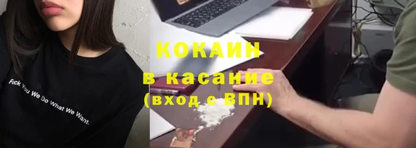 стаф Алексин