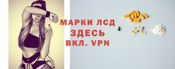 стаф Алексин
