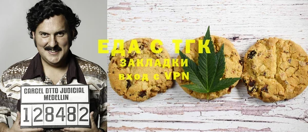 стаф Алексин