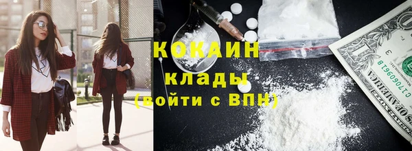 сатива Алзамай
